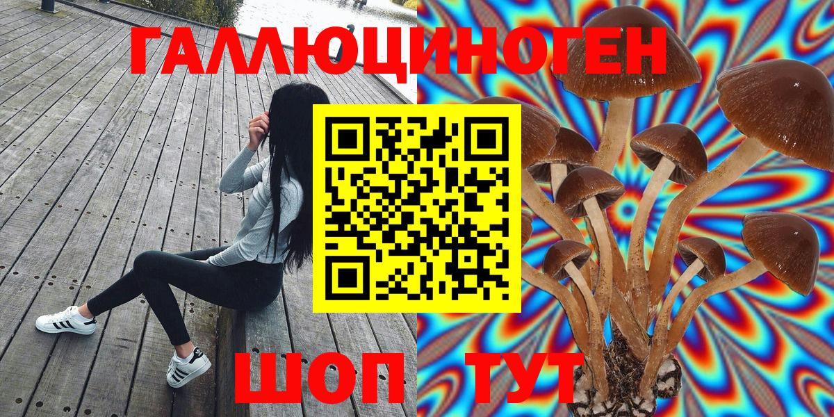 Псилоцибиновые грибы MAGIC MUSHROOMS Белогорск